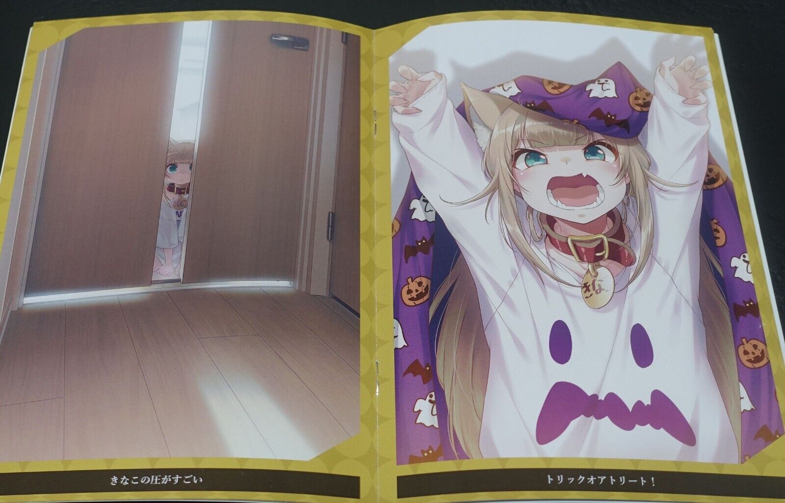 Animal Machine My Cat is a Kawaii Girl Color Art Book KINAKO ART WORK 