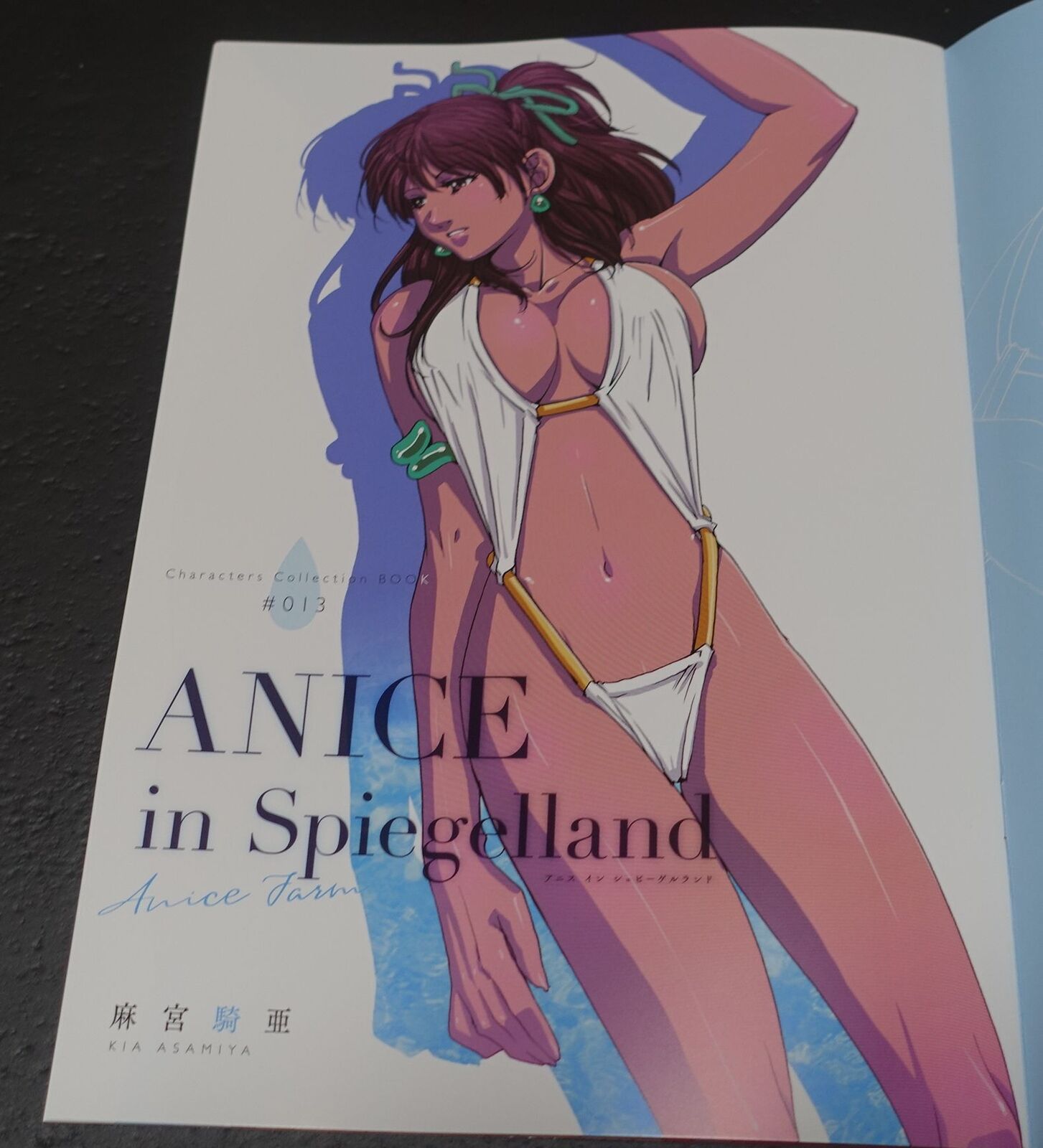 Kia Asamiya Sonic Soldier Borgman Designer's Fan Art Book ANICE in Spiegelland 