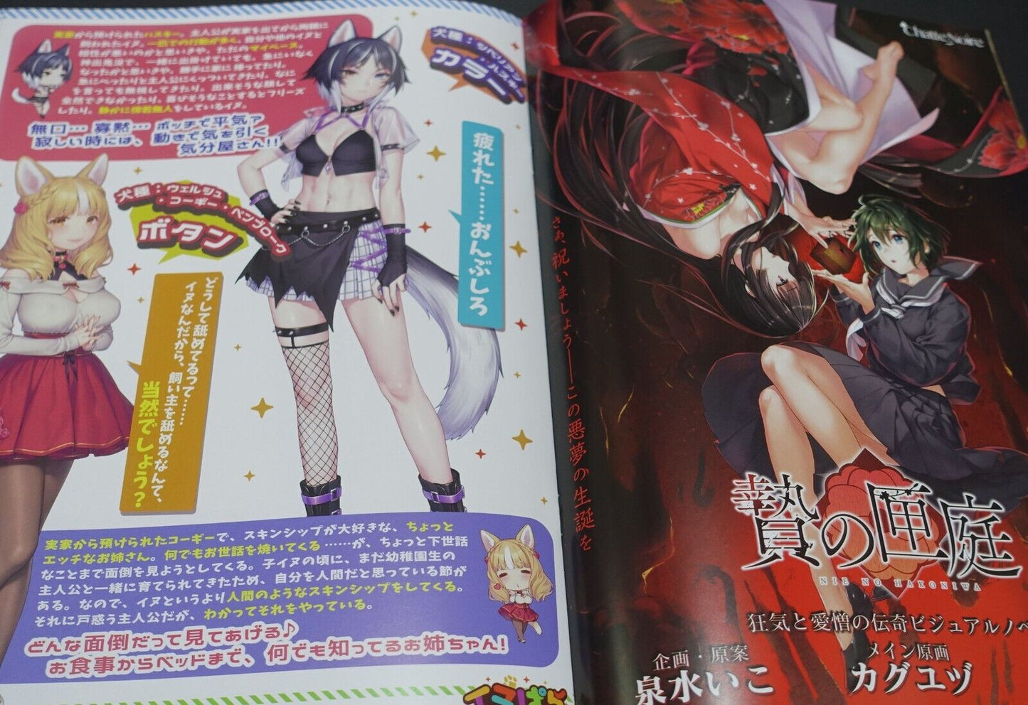 Nekopara Comic Market 100 Goods Set C100 