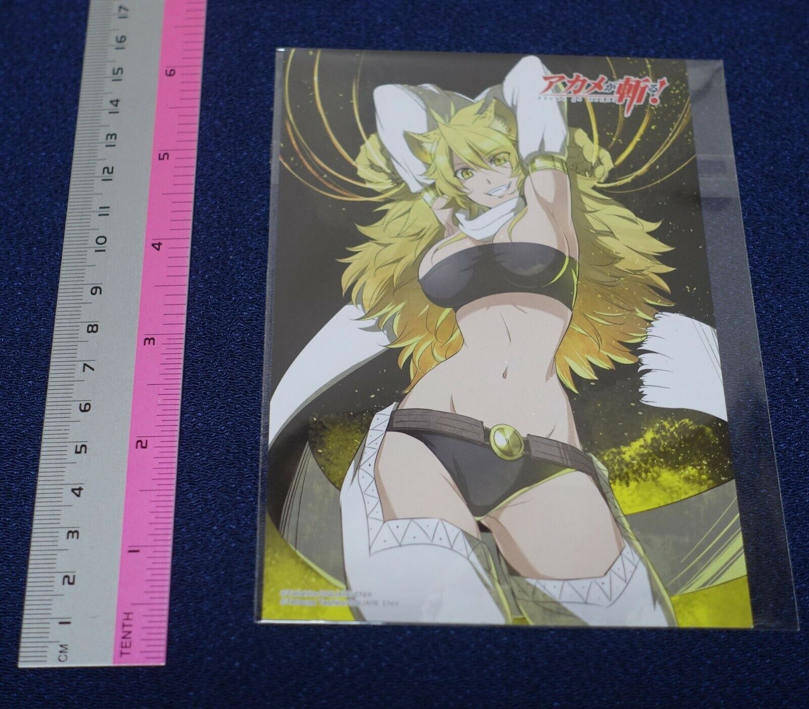 Akame ga Kill! e-Wondergoo Privilege Art Post Card Leone 