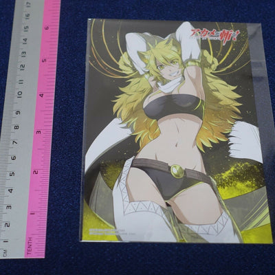 Akame ga Kill! e-Wondergoo Privilege Art Post Card Leone 