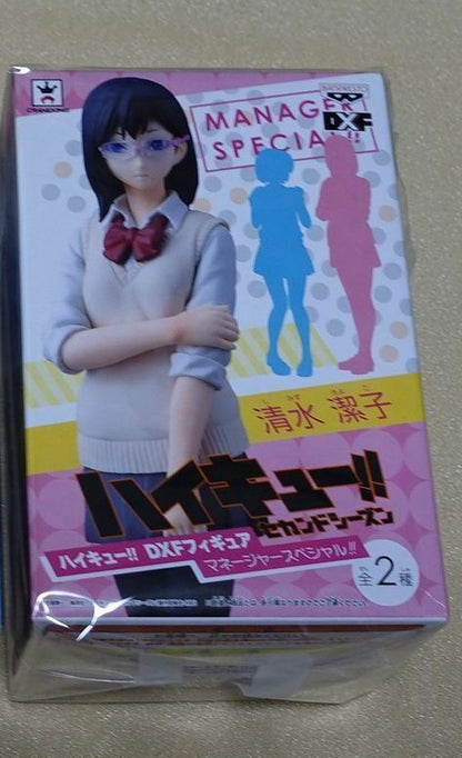 Kiyoko Shimizu & Hitoka Yachi DXF Figure Manager Special!! 