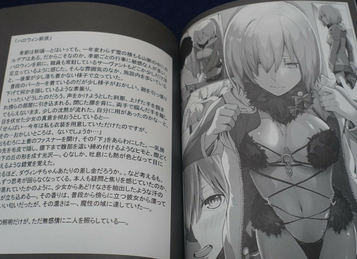 Syatey Fate Grand Order FGO Fan Art Book Mash Matome Hon 