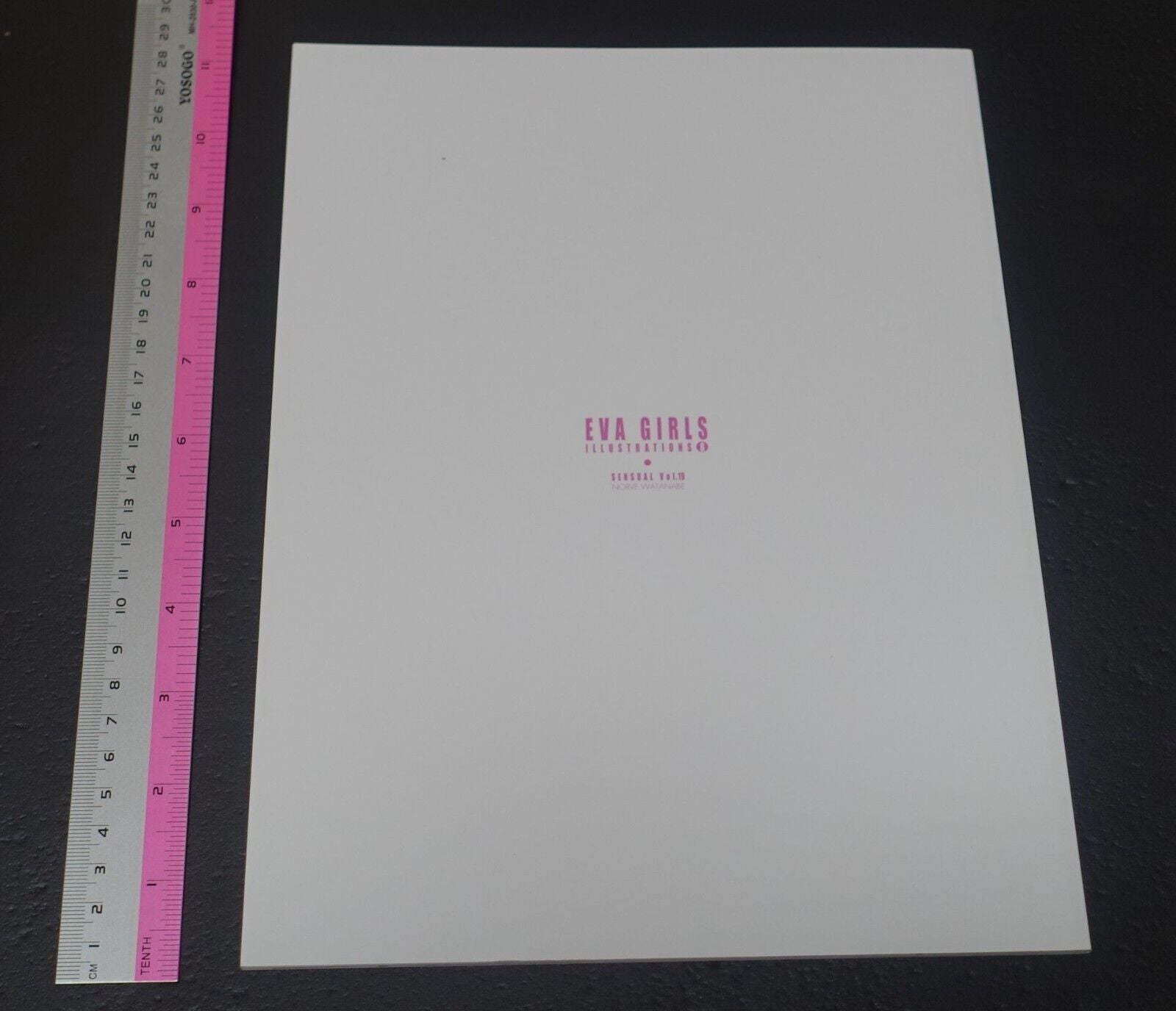 Castlism EVANGELION Fan Art Book EVA GIRLS ILLUSTRATIONS 8 