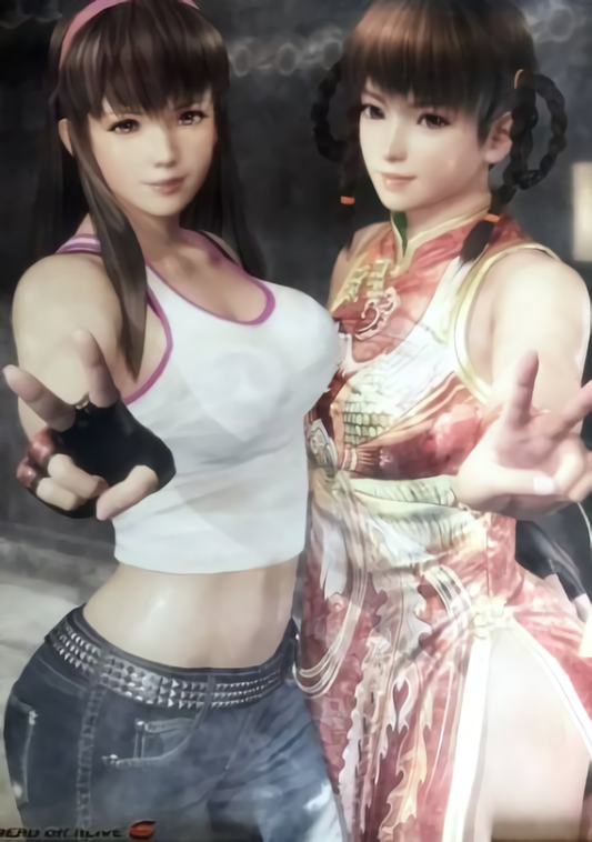 DEAD OR ALIVE 6 B2 Big Size Bath Room POSTER Hitomi & Leifang DOA6 
