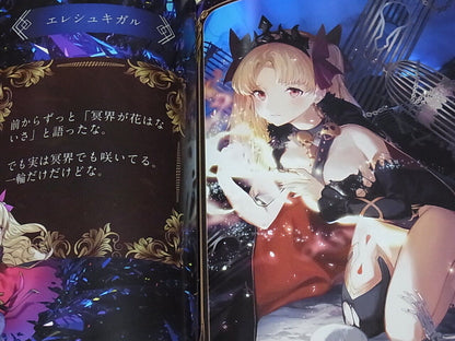 Gravity5 Fate FGO Color Fan Art Book Fate Grand Order Human Extinction 