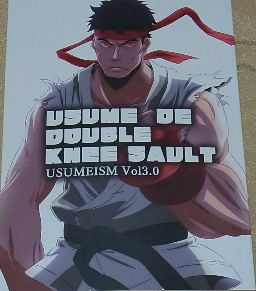 USUMEISM CAPCOM Game Fan Art Book USUME DE DOUBLE KNEE SAULT C97 re-sell 