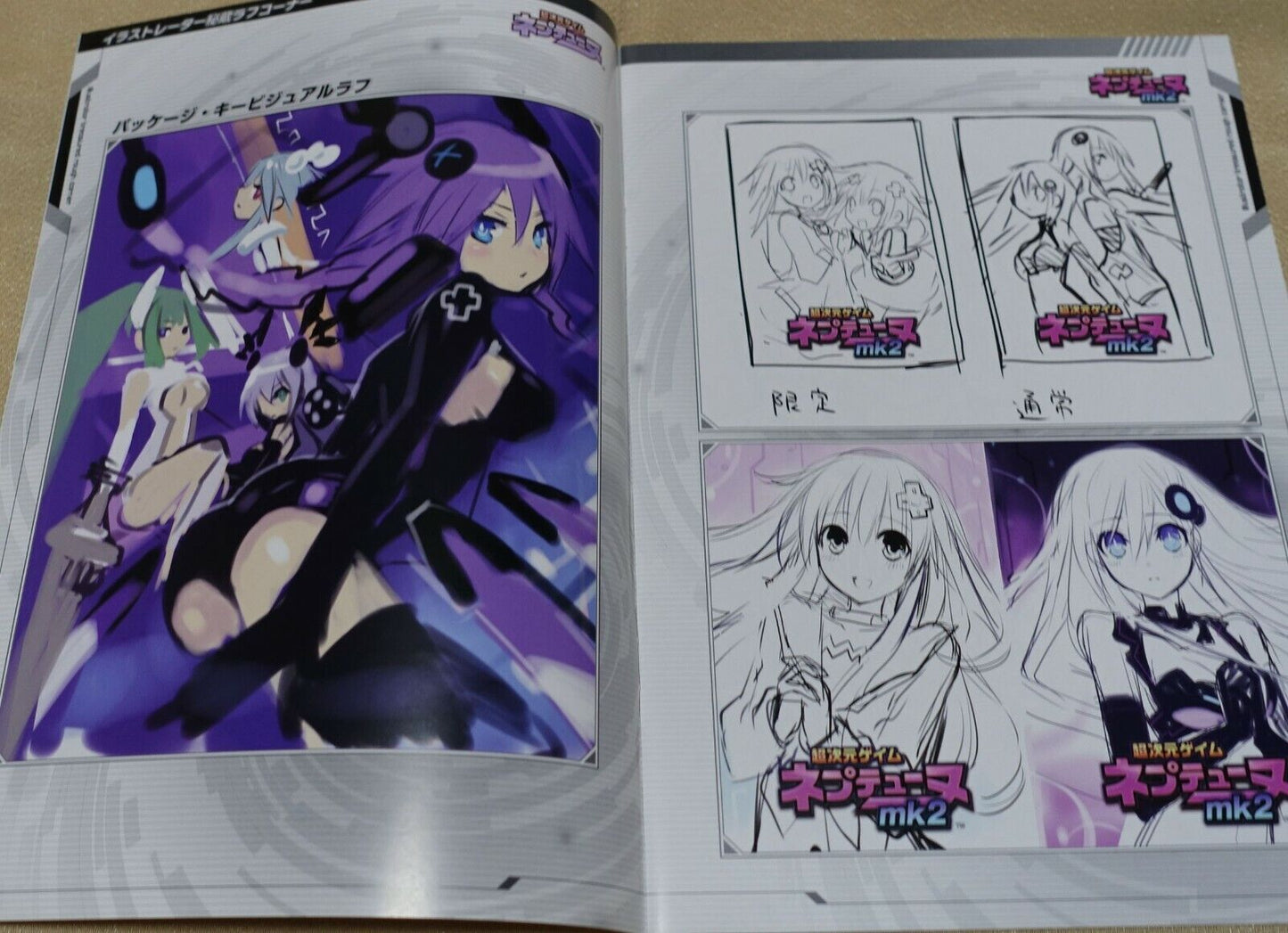 Hyperdimension Neptunia Official Illustration & Promo Design Work Book 