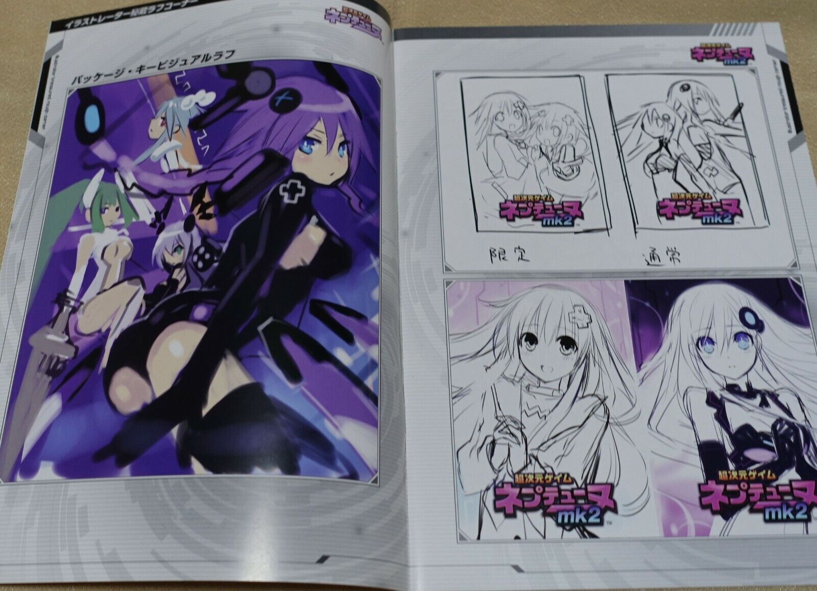 Hyperdimension Neptunia Official Illustration & Promo Design Work Book 