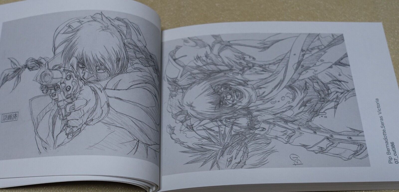 RYOJI NAKAMORI WORKS 2009-2011 HELLSING 7-11 Key Frame art collection book 