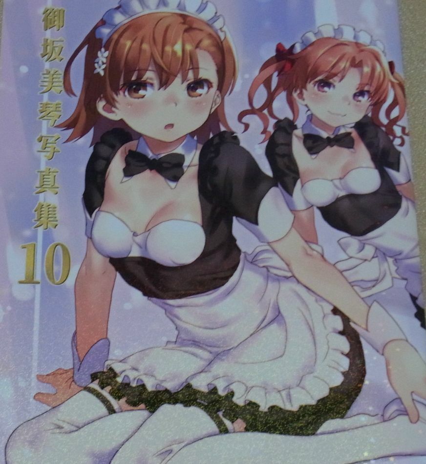 raika9 A Certain Scientific Railgun Fan Art Book Mikasa Mikoto Photo Book10 C97 