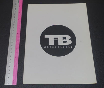 Tsukasa Jun Tsukasa Bullet 2001 Illustration Art Book 