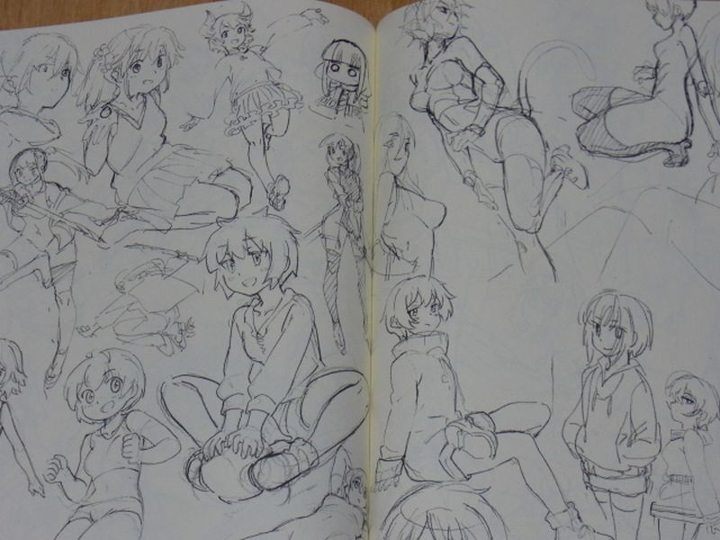Animation Illustrator Rintauros Rough Art Book Fate FGO etc C94 