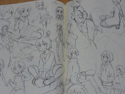Animation Illustrator Rintauros Rough Art Book Fate FGO etc C94 