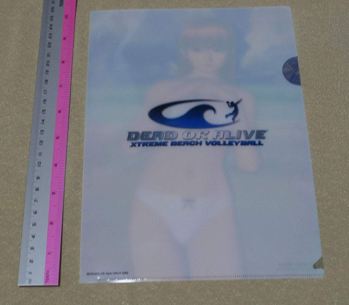 Dead or Alive Xtreme PVC Art Sheet Clear File Kasumi 