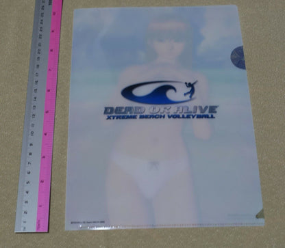 Dead or Alive Xtreme PVC Art Sheet Clear File Kasumi 