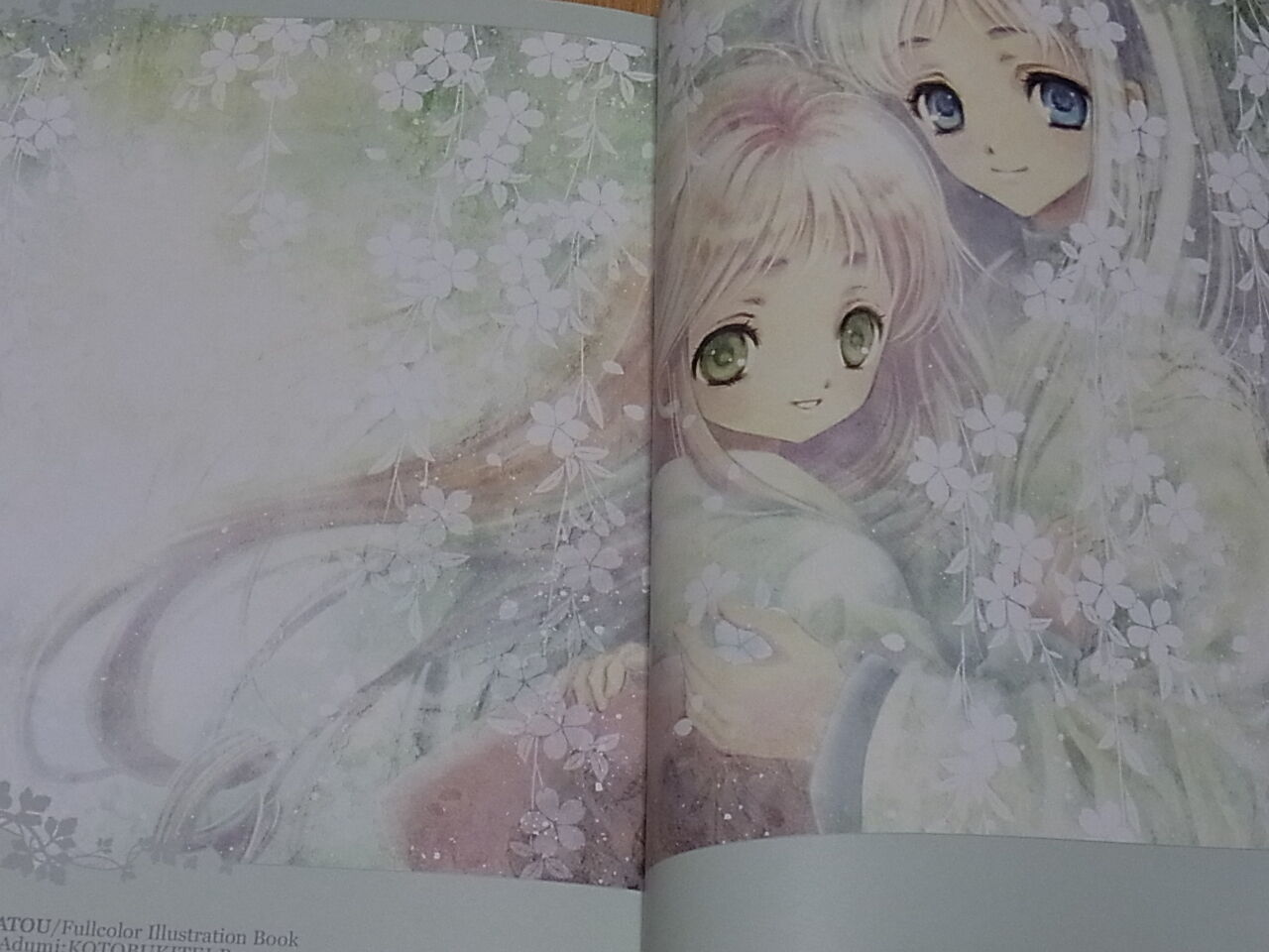Tohru Adumi Colro Art Book KINKATOU VERY RARE 