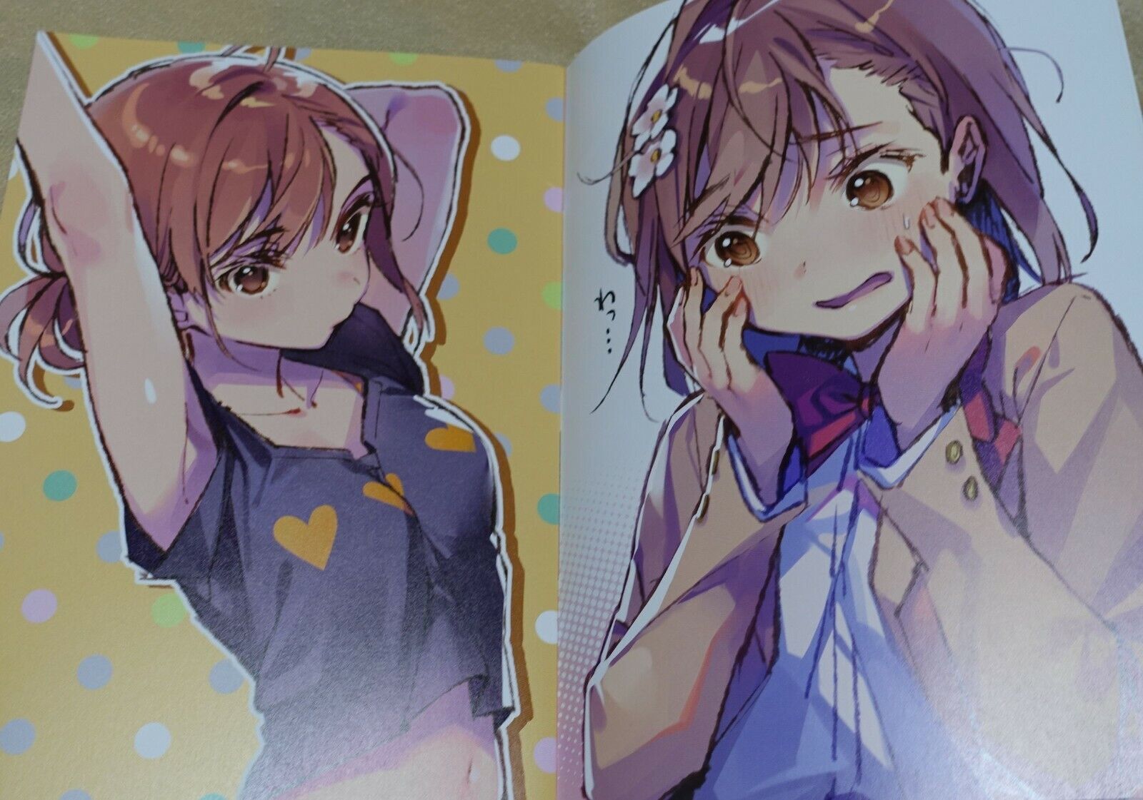 DS MILE DSMILE R Animation Color Fan Art Book A Certain Railgun etc 
