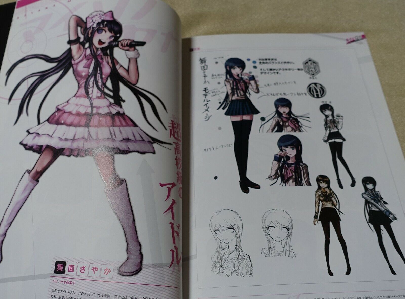 Danganronpa Visual Setting Art Fan Book 