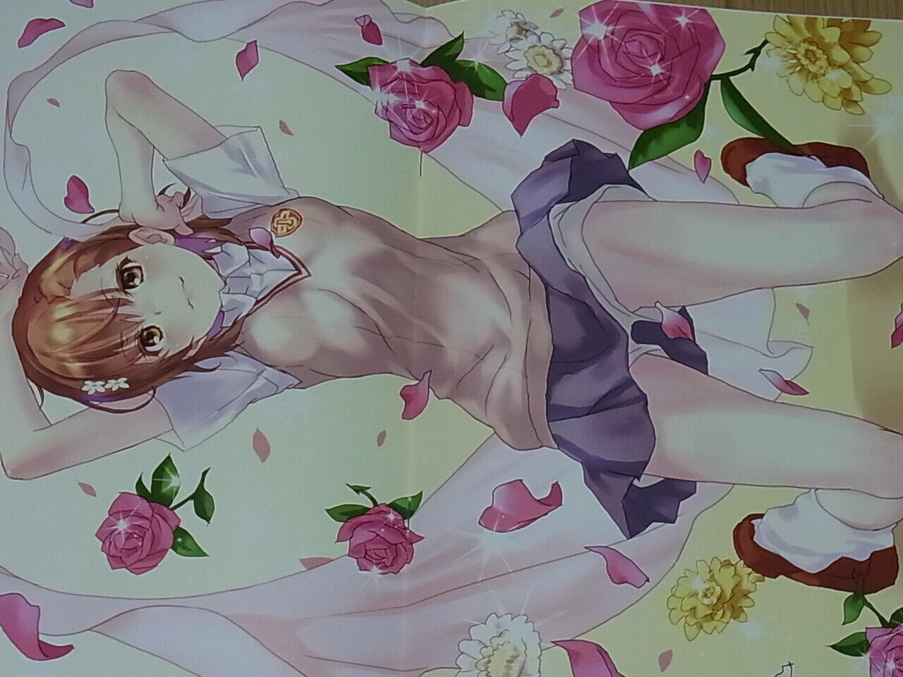 raika9 A Certain Scientific Railgun Misaka Mikoto Color Fan Art Book Toaru Gacho 