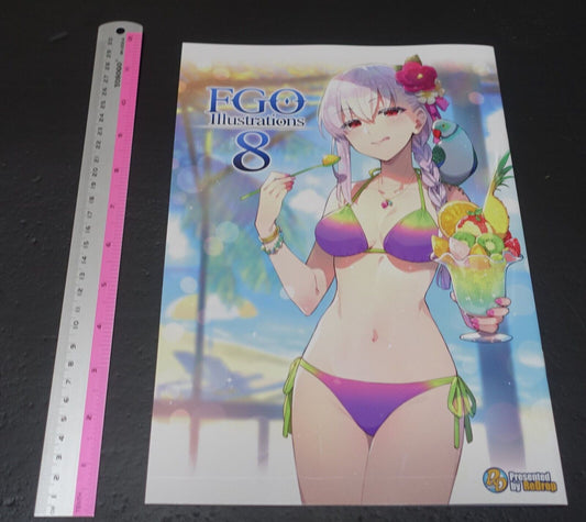 ReDrop Fate Grand Order Color Fan Art Book FGO Illustrations 8 C100 