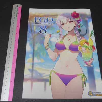 ReDrop Fate Grand Order Color Fan Art Book FGO Illustrations 8 C100 