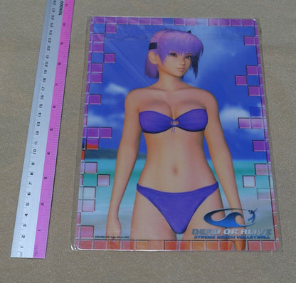 Dead or Alive Xtreme Beach Volley Ball PVC Reversible Art Board Kasumi & Ayane 