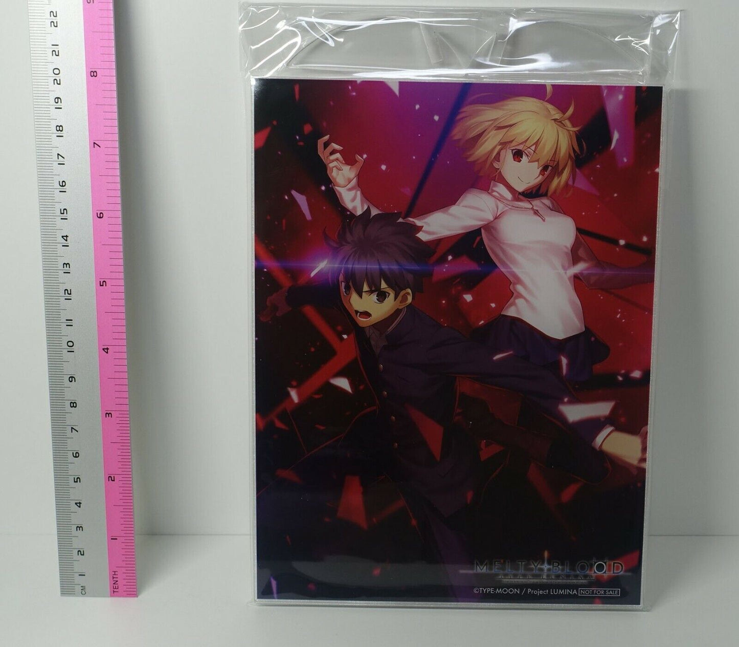 MELTY BLOOD TYPE LUMINA Acrylic Stand Panel Arcueid & Shiki 