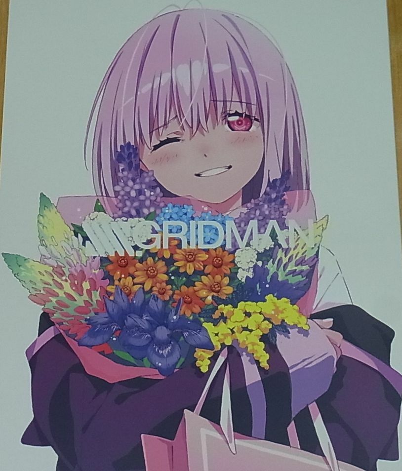 SSSS.GRIDMAN Official Staff Fan Art Book C95 