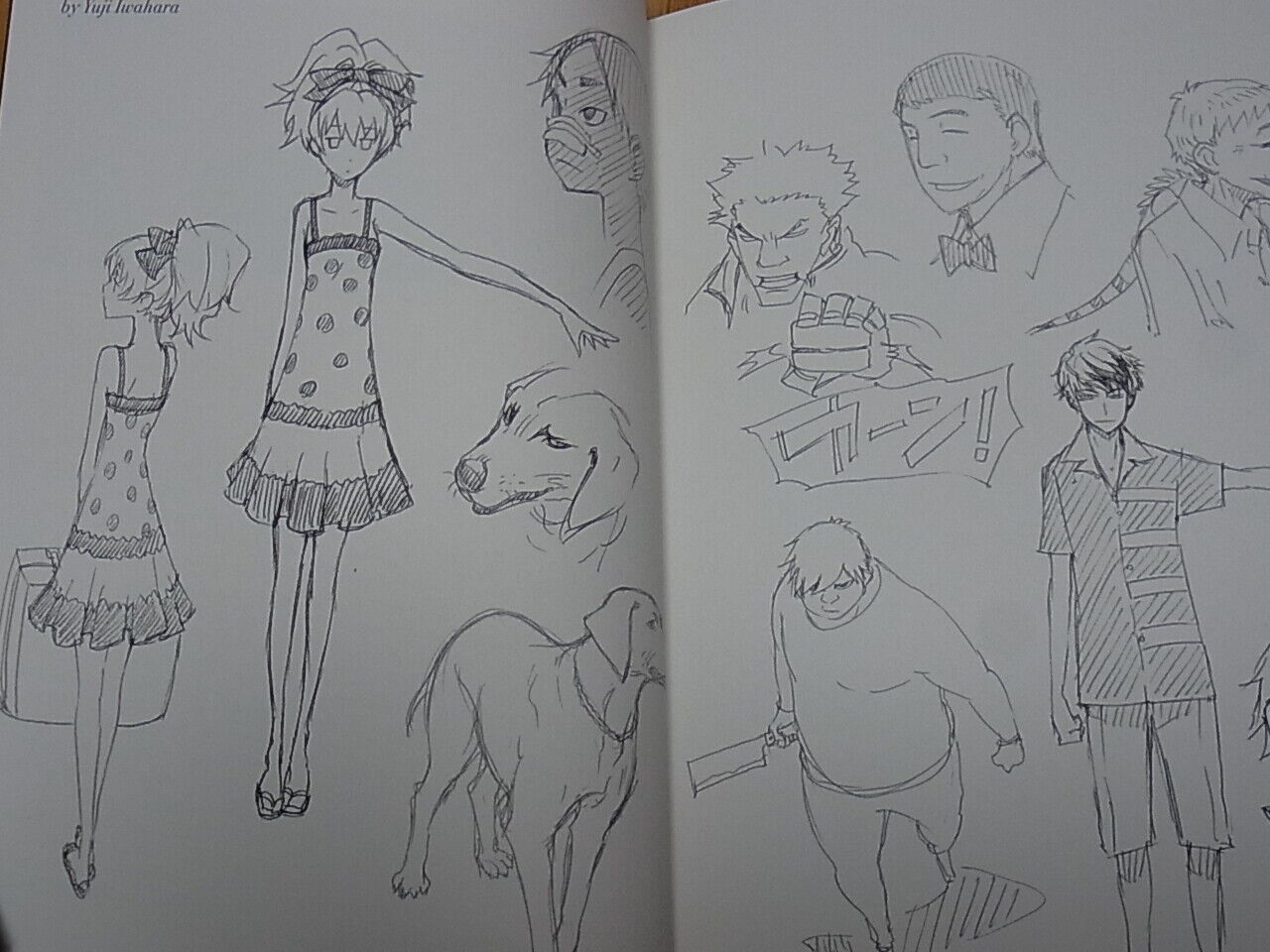 DARKER THAN BLACK Gemini of the Meteor ART WORK BOOK 2 