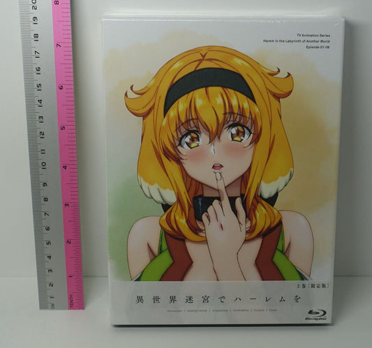 Harem in the Labyrinth of Another World Blu-ray Box Vol.1 Epi 1-6 