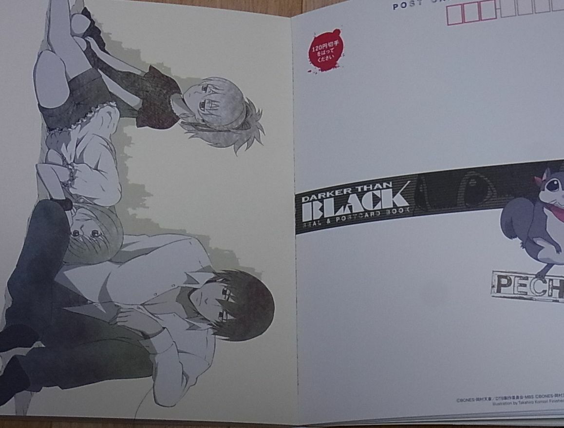 DARKER THAN BLACK Gemini of the Meteor ART POST CARD BOOK 
