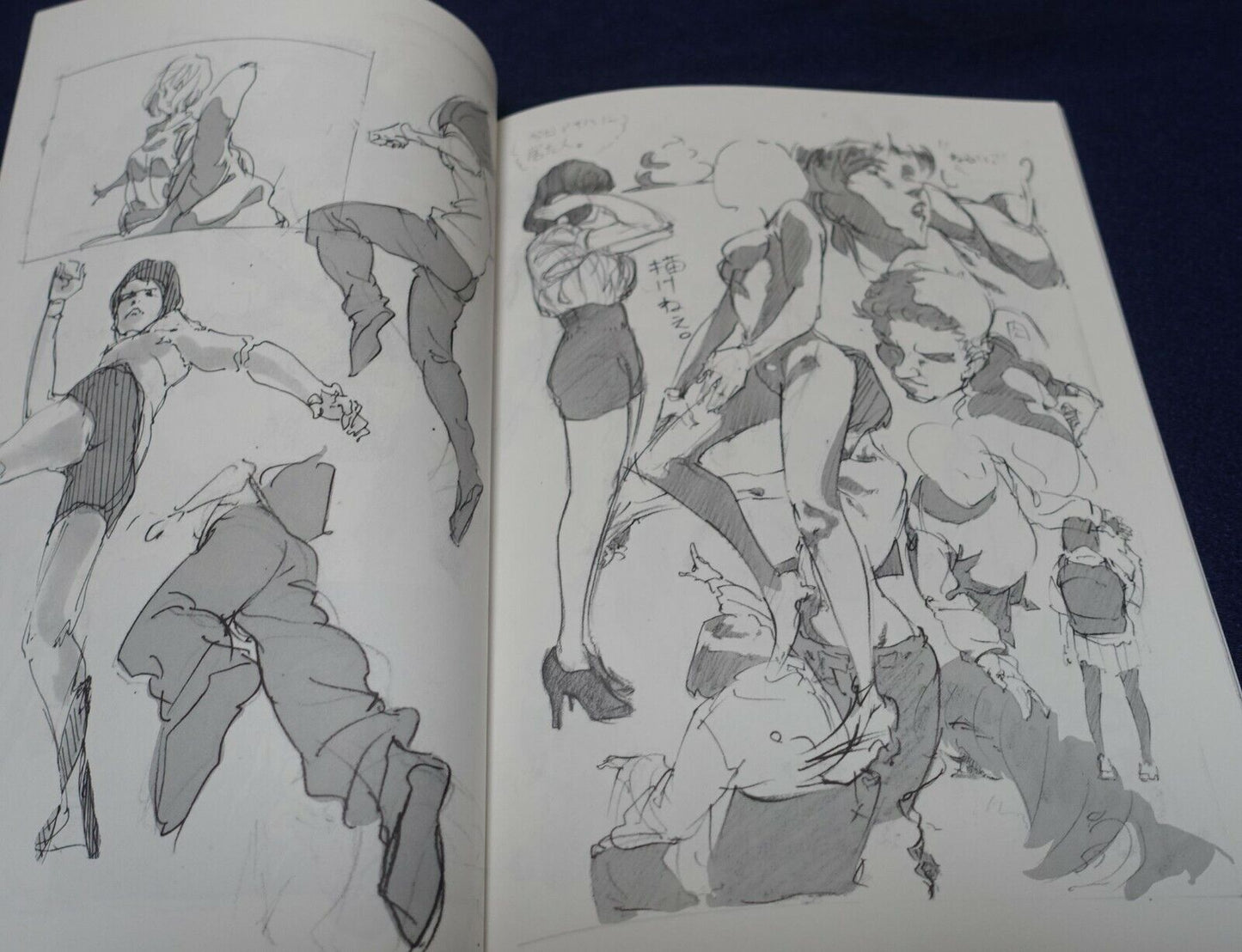 Noob Nuts! Animation Illustrators Art Portfolio Book ANIMAD 