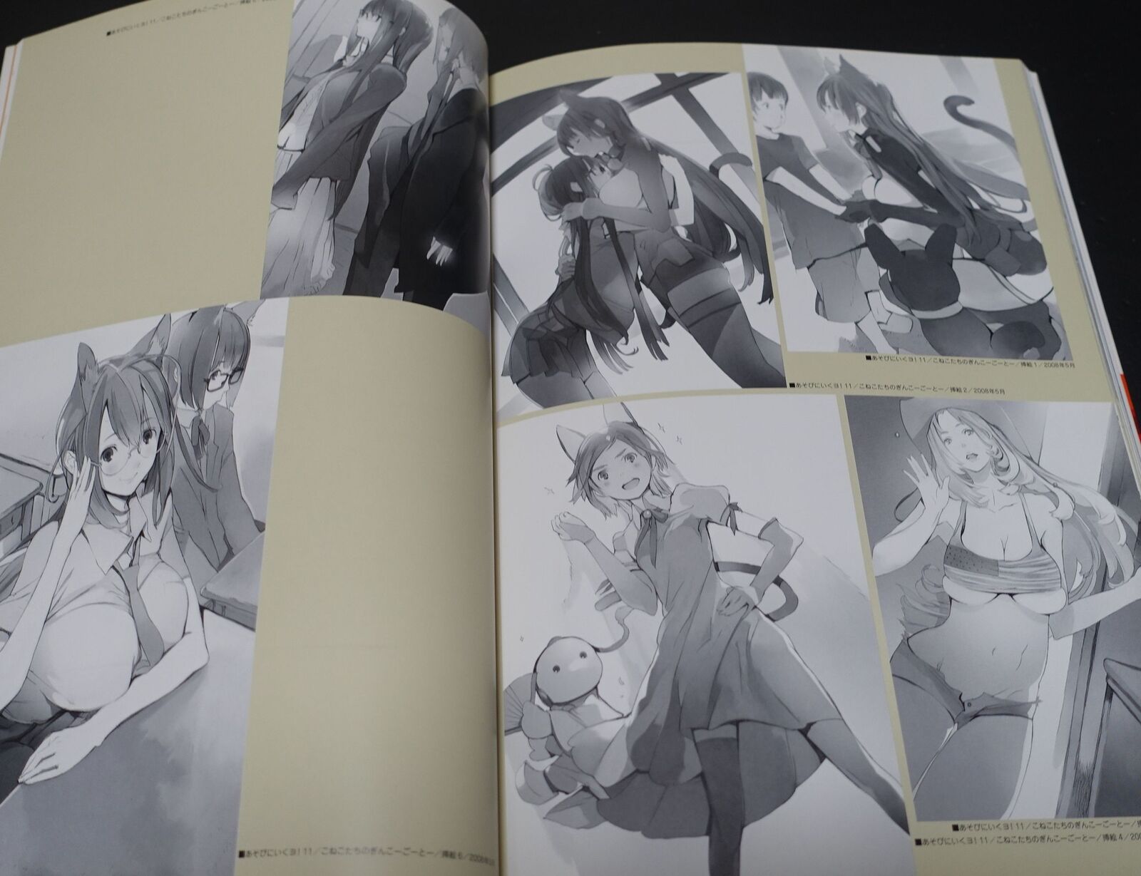 Houden Eizou Asobini Ikuyo! Asabi ni iku yo ! Art Work Book 
