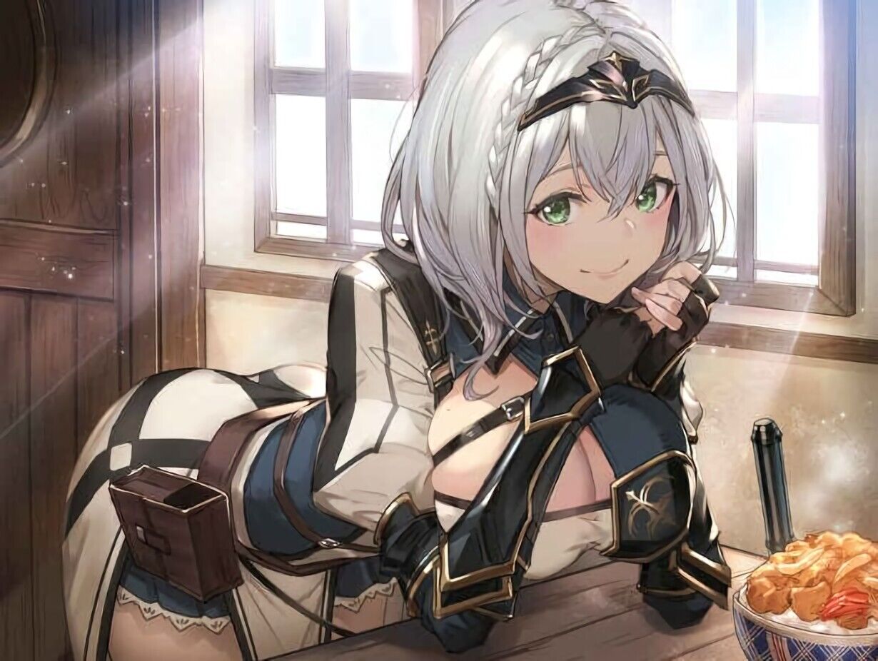 Omochiyasan Kakage VTuver Hololive Fan Art Book HOLOSGARDEN1 Holo's Garden 