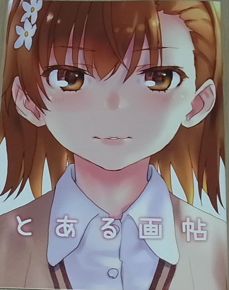 Chillin Party raika9 A Certain Scientific Railgun Misaka Mikoto Fan Art Book C96 