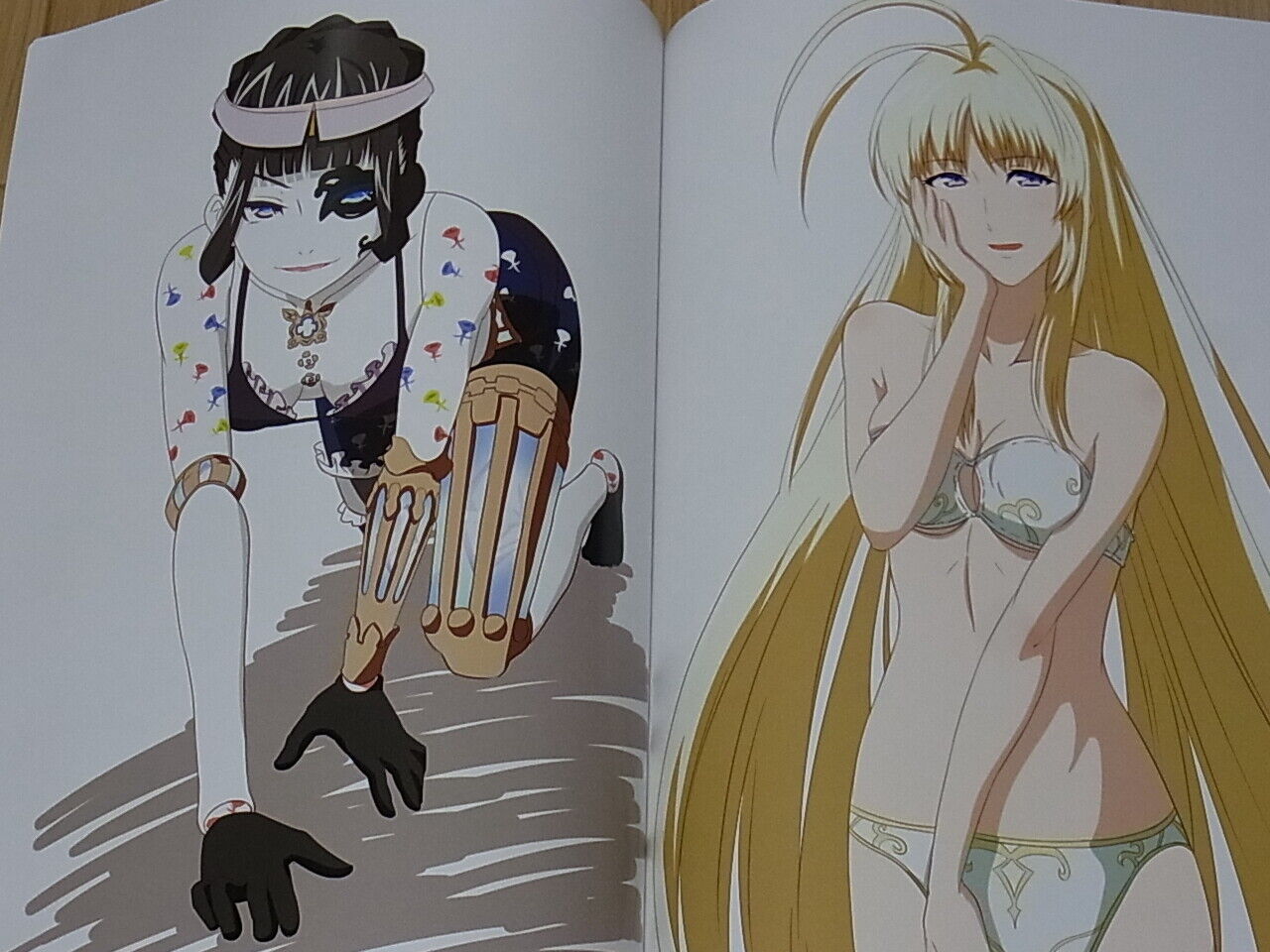 Kagemiya Xenoblade2 Blades Suim Suit Color Fan Art Book ShaDraw C96 