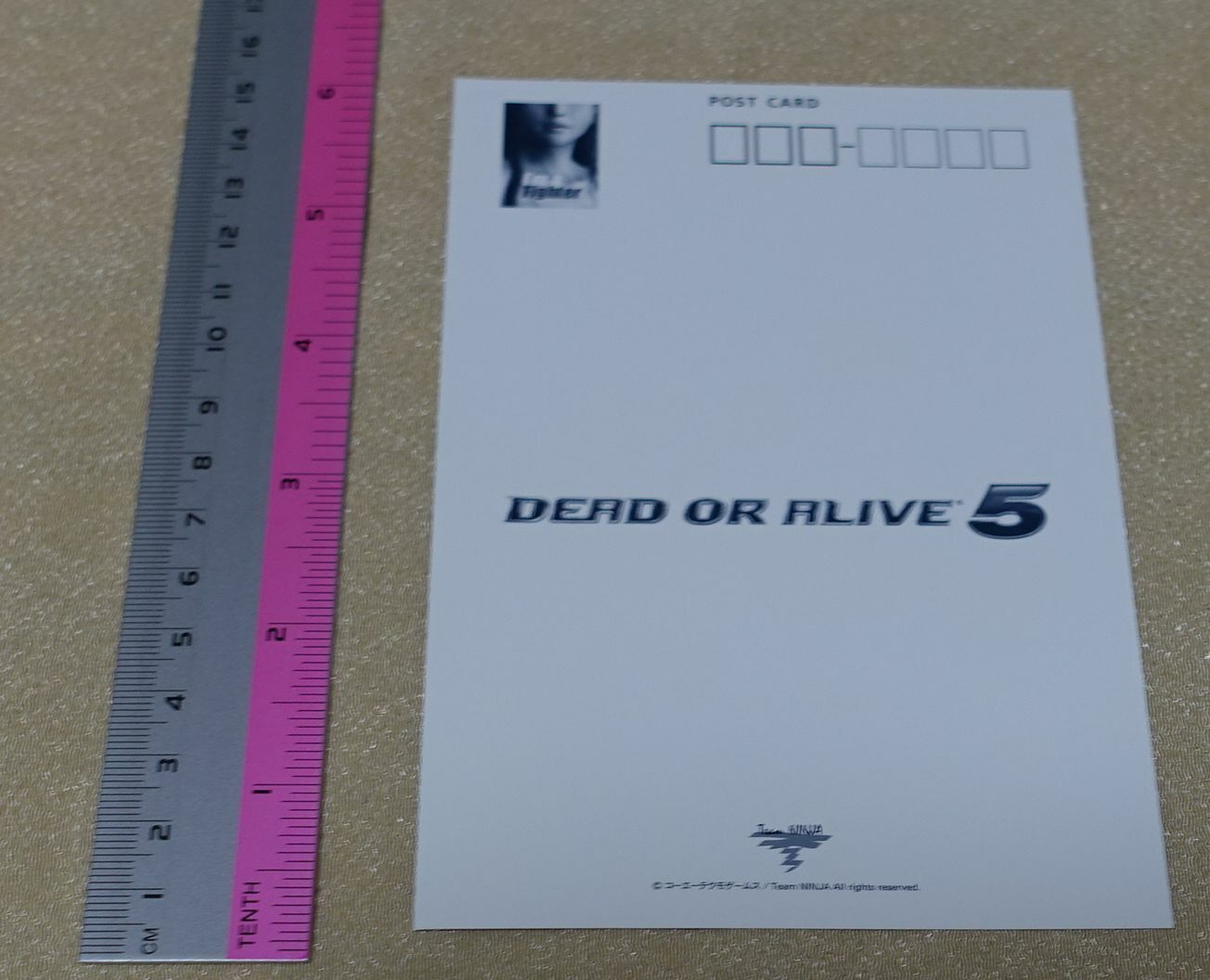 Dead or Alive 5 I'm a Fighter Illustration Post Card Set 10 pieces DOA 