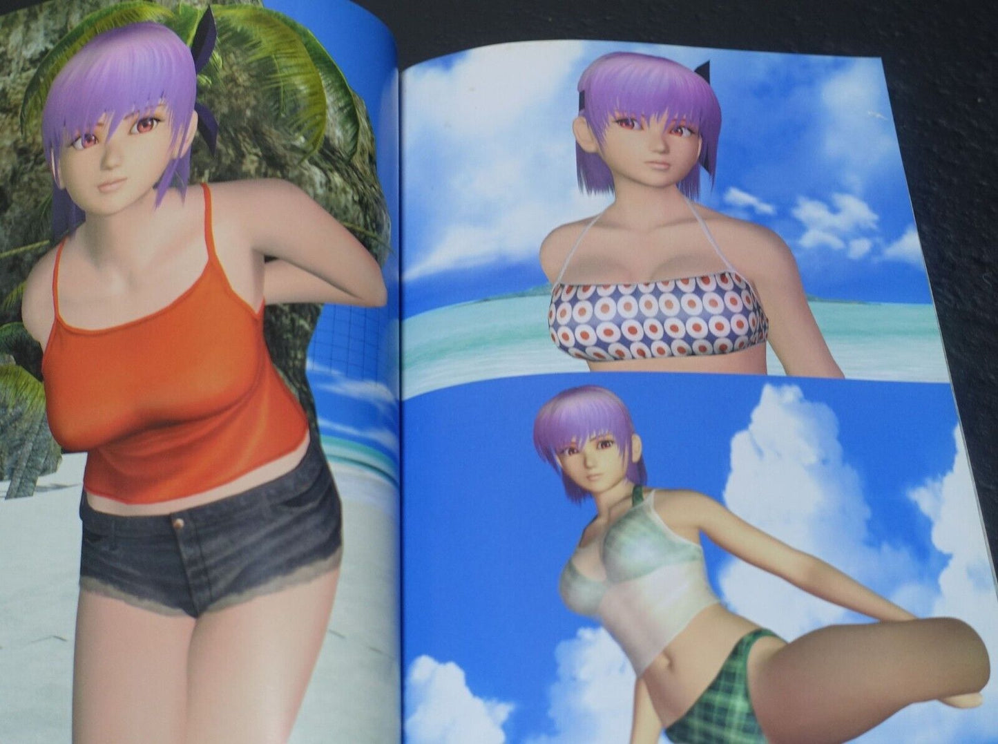 Dead Or Alive Xtreme DOA Characters Swim Suit Art Book 