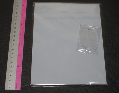 Atelier Ryza 3 Alchemist of the End & the Secret Key Acrylic Display Panel B 