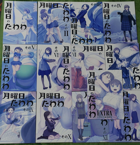 Kiseki Himura Nyuugyou Art & Comic Getsuyoubi no Tawawa on Monday 13 books 