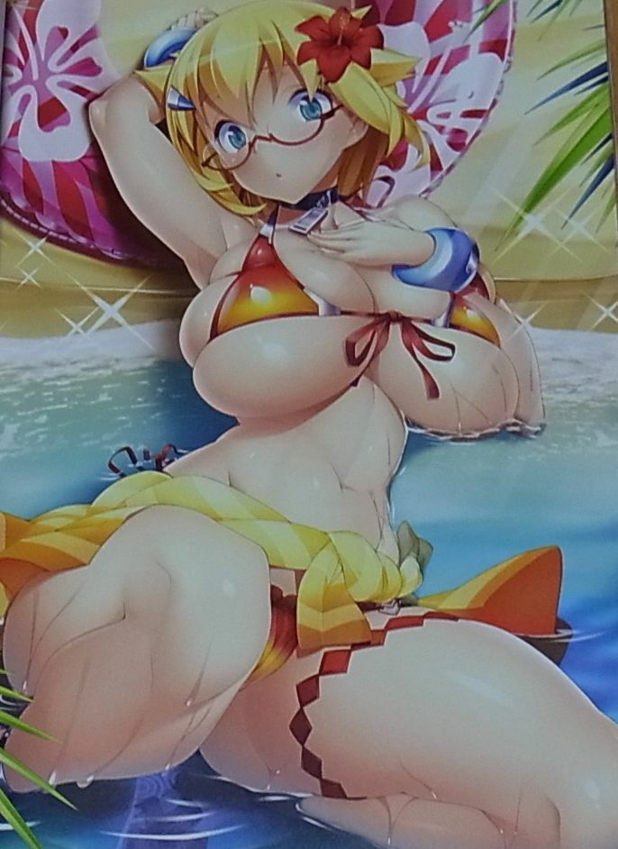 TAIMANIN ASAGI BATTLE ARENA CHARACTER VISUAL ART BOOK 9 NINJA GIRL 116page C95 