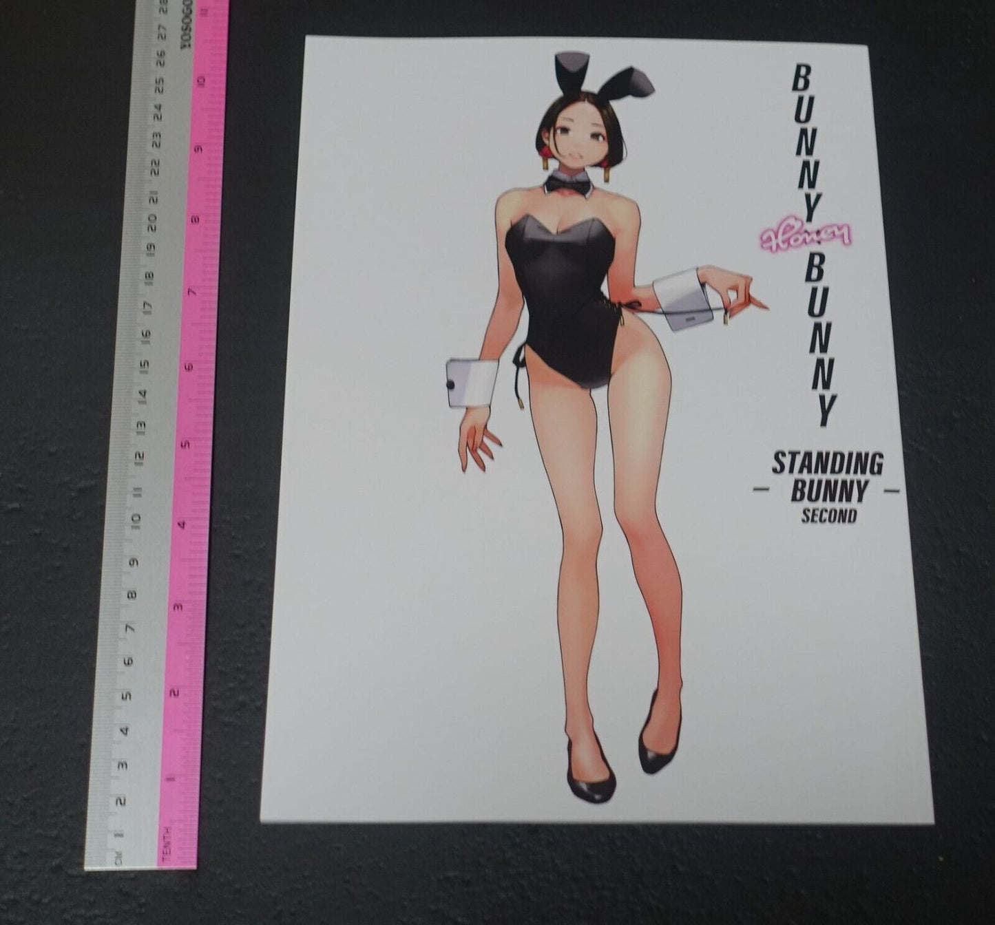 GAKAKU Original Bunny Girl Art Book BUNNY HONEY BUNNY STANDING BUNNY 2ND 