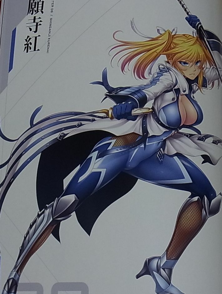 TAIMANIN RPGX CHARACTER VISUAL ART BOOK Vol.1 ASAGI C97 NINJA GIRL 