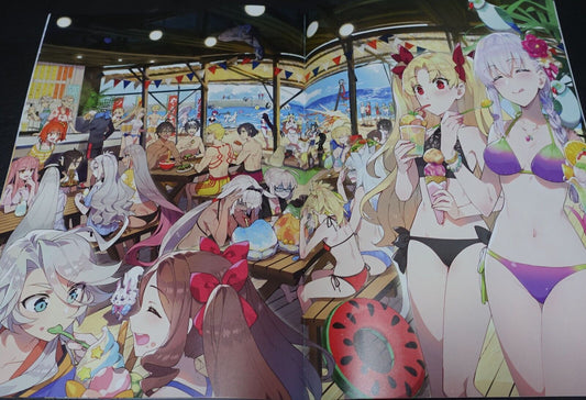 ReDrop Fate Grand Order Color Fan Art Book FGO Illustrations 8 C100 