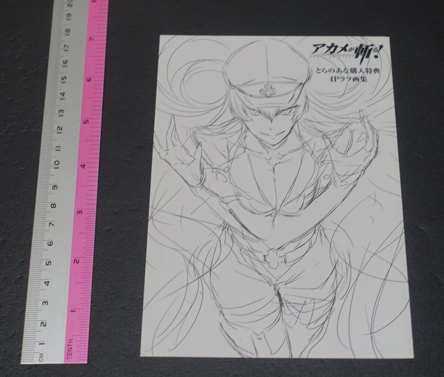 Tetsuya Tashiro Akame ga Kill! Rought Illustration Art Mini Booklet H 4page 