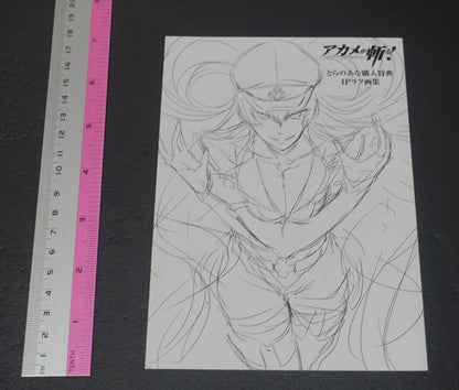Tetsuya Tashiro Akame ga Kill! Rought Illustration Art Mini Booklet H 4page 
