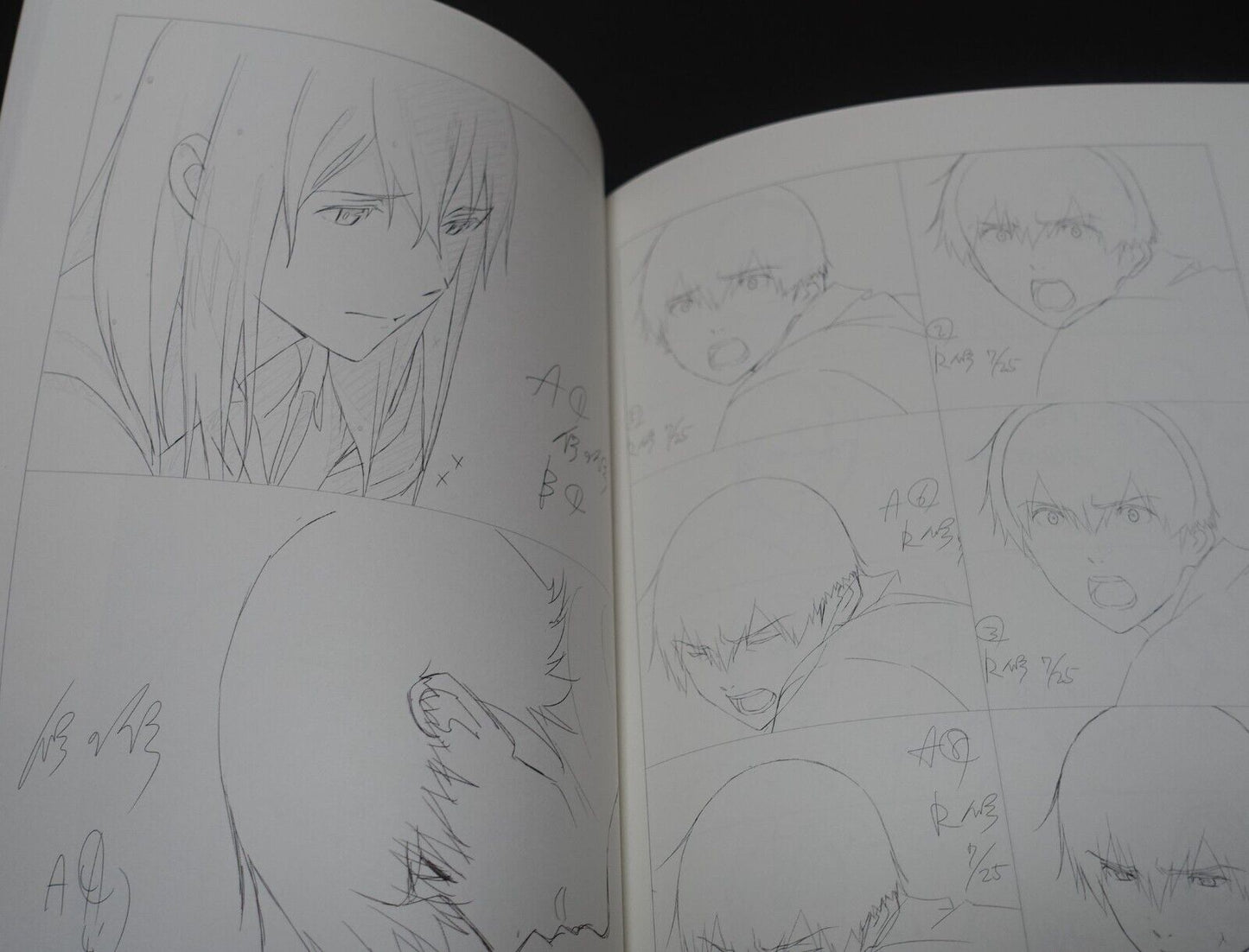 Yuichi Oka Animation I Want to Eat Your Pancreas Key Frame Revision Work Book 