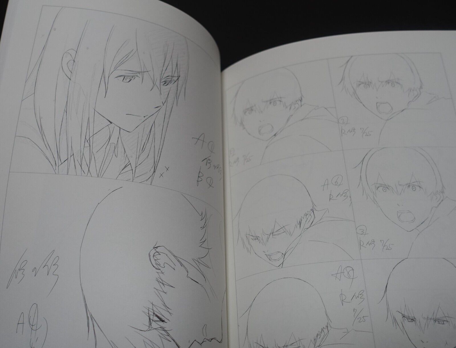 Yuichi Oka Animation I Want to Eat Your Pancreas Key Frame Revision Work Book 