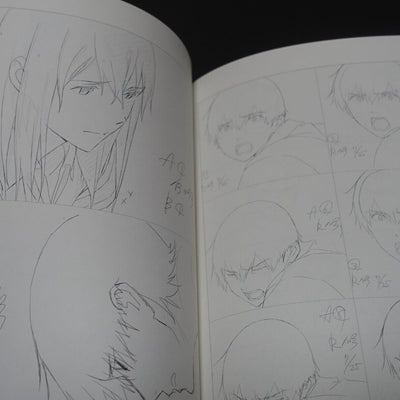 Yuichi Oka Animation I Want to Eat Your Pancreas Key Frame Revision Work Book 